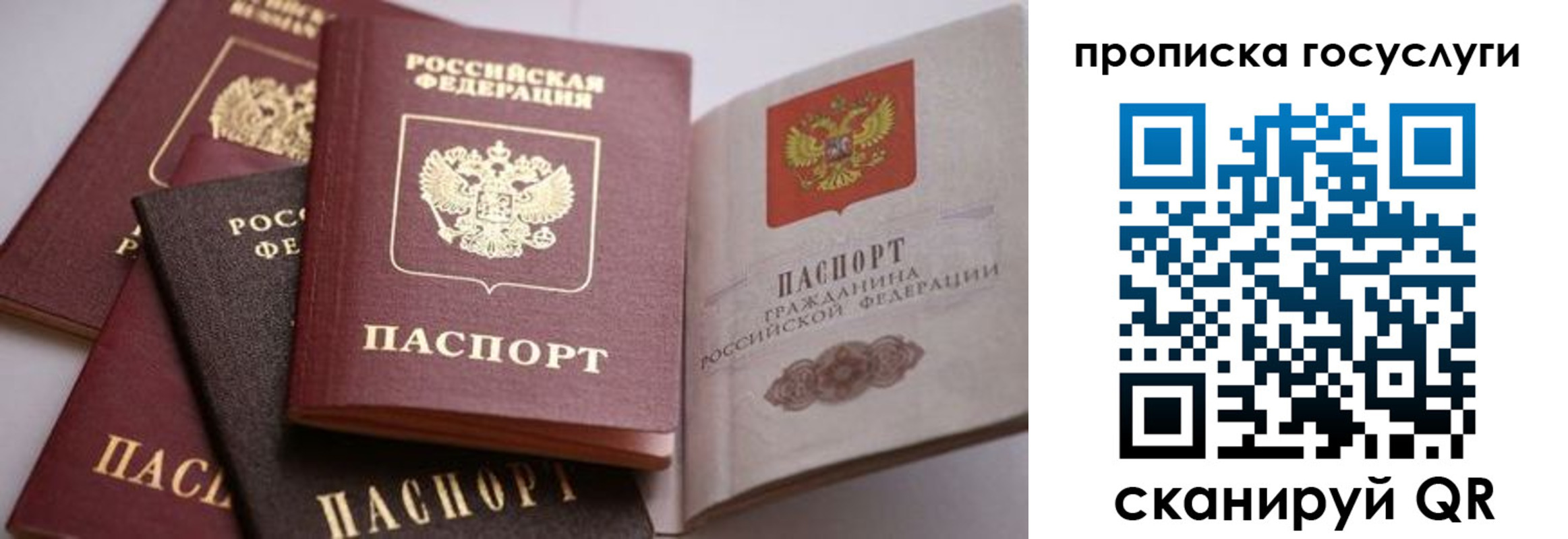 прописка иностранных граждан в Пересвете