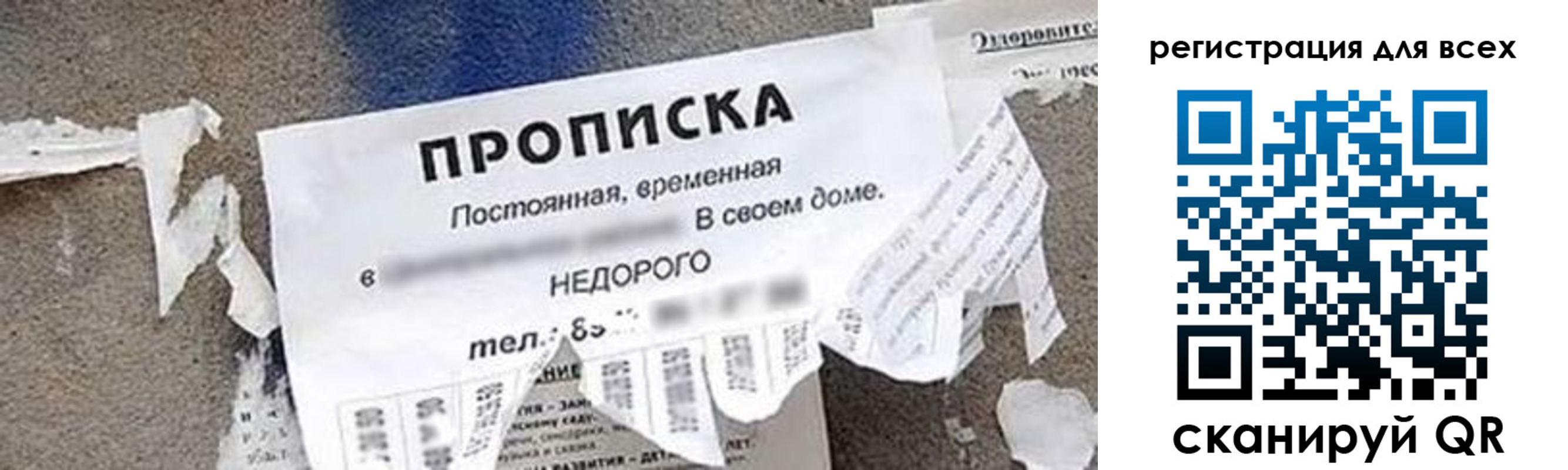 прописка поиск в Пересвете